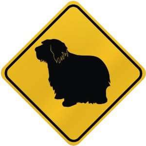  ONLY  PULI  CROSSING SIGN DOG