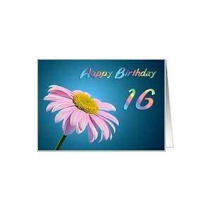    Beautiful Pink Daisy card for a 16 year old Card Toys & Games