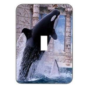   Metal Designer Switch Plate Seaworld   (SCSSW 026)