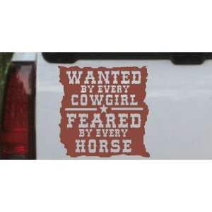 Brown 20in X 20.0in    Wanted By Cowgirls Feared By Horses Western Car 