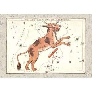    Vintage Art Constellation of Lynx   06270 3