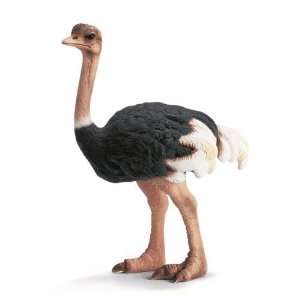  Schleich Ostrich 14325 Toys & Games