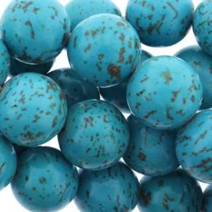 com Turquoise Magnesite  Round Plain   16mm Height, 16mm Width, 16mm 