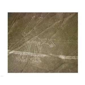   PPBPVP1267 Nazca Lines  10 x 8  Poster Print Toys & Games