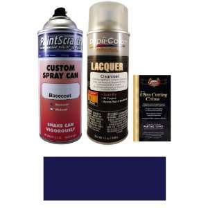   Metallic Spray Can Paint Kit for 1996 BMW 5 Series (317) Automotive