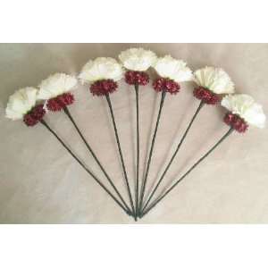  Cream Carnations Horse Mane Flowers   Red Accent 