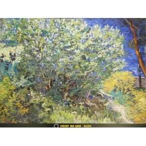   Posters Vincent Van Gogh   Bushes   31.2x23.4 inches