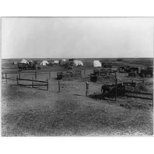   Kern County,California,CA,Creasy Ranch,A ditching camp