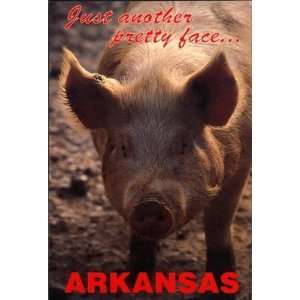    Arkansas Postcard 12116 Pretty Face Case Pack 750 
