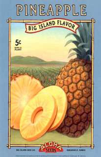 Vintage Hawaiian Pineapple AD Poster 1920s  