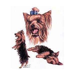 Yorkshire Terrier Shirts