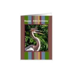  44th Birthday Card with Tricolored Herons Card Toys 