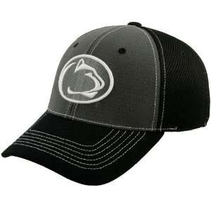  Top of the World Penn State Nittany Lions Grey Pylon One 