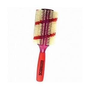    Scalpmaster Dual Color Boar Bristle Brush / Jumbo (SC 5905) Beauty