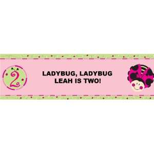 LadyBugs Oh So Sweet 2nd Birthday Personalized Banner Medium 24 x 80 