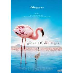  The Crimson Wing Mystery of the Flamingos Movie Poster 
