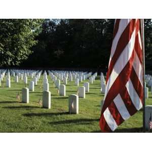  Rows of Tombstones Marked with American Flags Fill a 