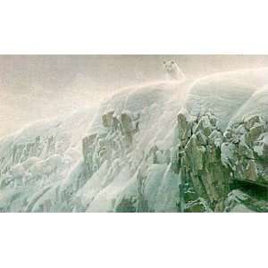  Robert Bateman   Arctic Cliff White Wolves