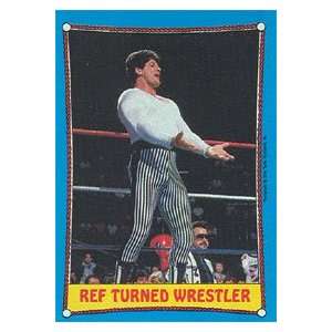  1987 WWF Topps Wrestling Stars Trading Card #23  Danny 