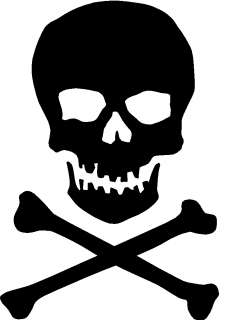 Martha Stewart Halloween Skull & Bones Skeleton/Goth Pirate Diy Craft 