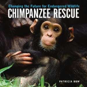 chimpanzee rescue changing patricia bow paperback $ 8 95 buy