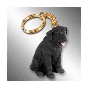  Black Lab Keychain