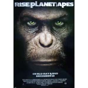  Rise of the Planet of the Apes (2011) Movie Poster 27 X 