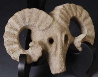 beautiful HONGSHAN Classic SKULL Big Horn Goat Skeleton  