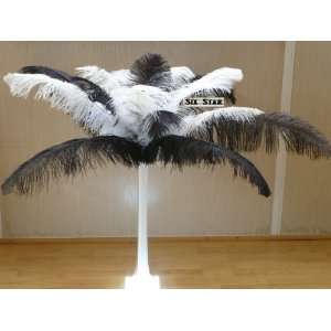 Ostrich Deluxe Formal BLACK/WHITE Mixed 10 of each  Feather 18 24Long 