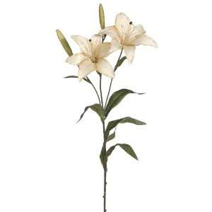  Tiger Lily Spray Two Tone Beige (Pack of 12)