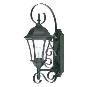  Acclaim Lighting Orleans Outdoor Sconce