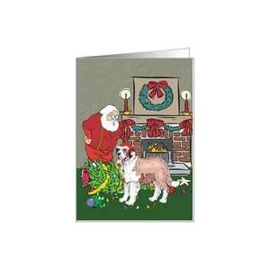  Santas Helper St Bernard Christmas Card Card Health 