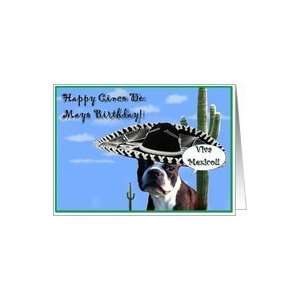  Happy Cinco De Mayo Birthday Boston terrier Card Health 