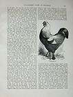 1902 lewis wright poultry brahmas ornithology print location united 