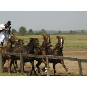  Hungarian Cowboy Horse Show, Bugaci Town, Kiskunsagi 