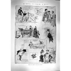  1900 SMITHFIELD CLUB CATTLE SHOW ISLINGTON ANIMALS