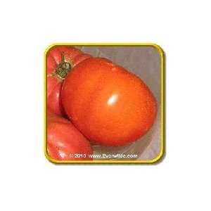  1/4 Lb   Giant Belgian Pink   Bulk Heirloom Tomato Seeds 