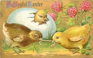 EASTER BABY CHICKENS EATING WORM HATCHING EGG R31285  