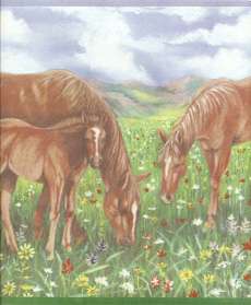 COUNTRY HORSES, COLT WILD FLOWERs $9.99 Wallpaper bordeR Wall  