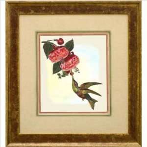  Phoenix Galleries HP654 Hummingbird & Flower III Framed 