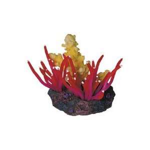  Sea Garden Anemone Polyp Purple For All Aquariums Pet 