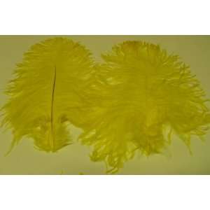 Ostrich~5 Mini Wing Ostrich Plumes Yellow Gold Ostrich Feather 10 13 