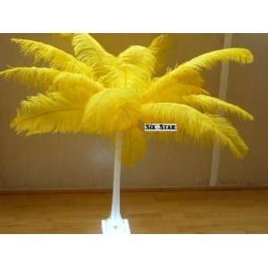  Ostrich Deluxe Formal Lemon Yellow  Feather 18 24Long 10 