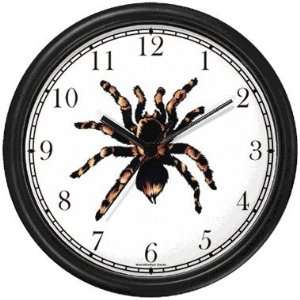  Spider   Tarantula Insect   Animal Wall Clock by 