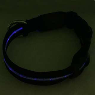 Pet Dog Waterproof Blue LED Lights Safe Nylon Collar  