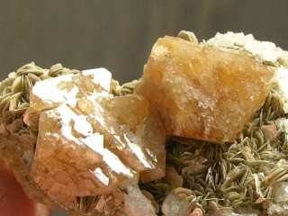93g Scheelite Crystal Clusters on Muscovite,Rock  