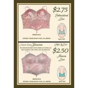 Embroidered Lace and Alencon Lace   Paper Poster (18.75 x 28.5 