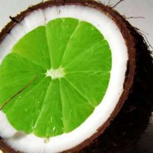  Coconut Lime Verbena
