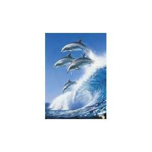 Born Free Dolphin   Surf Poster Print 