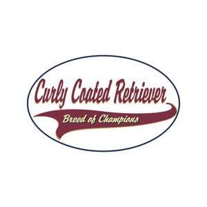  Curly Coated Retriever Shirts